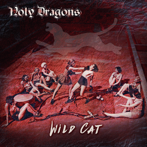 Holy Dragons : Wild Cat